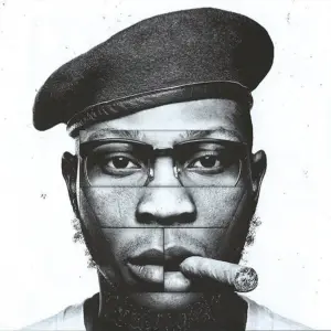 Seun Kuti Back in the U.S.A.