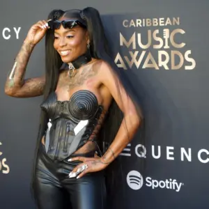 Caribbean Music Awards Inaugural Edition: On the Red Carpet