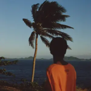 Planet Afropop: Mas Carnaval in Pointe-à-Pitre, Guadeloupe