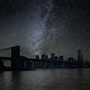 Links to Help Your Favorite New York Venues Through COVID-19 Quarantine