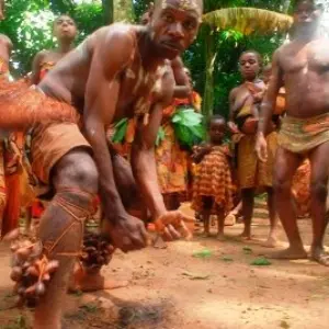 Seize the Dance: The BaAka of Central Africa