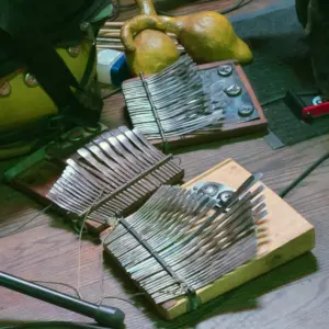 Preserving the Mbira Tradition of Zimbabwe's Ndau Community