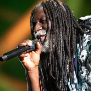 40 Years of Nuits D'Afrique, North America's Premier African Music Festival