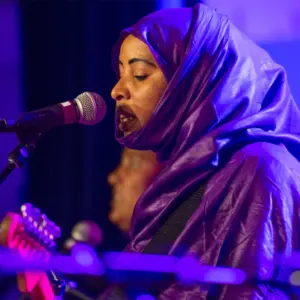 Les Filles de Illighadad: From the Village to the World