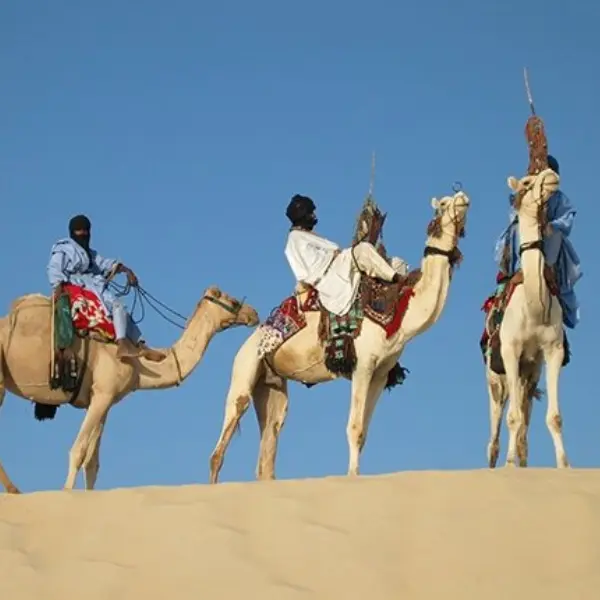Hip Deep in Mali: The Tuareg Predicament