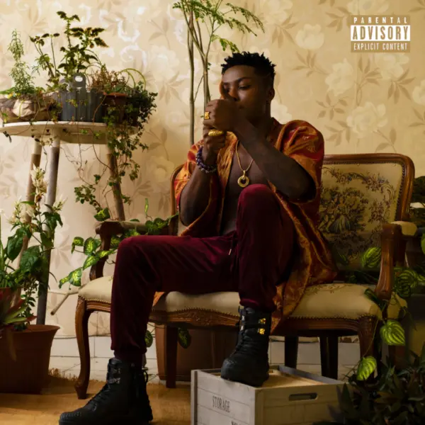 Reekado Banks, A Young Force on the Nigerian Pop Scene