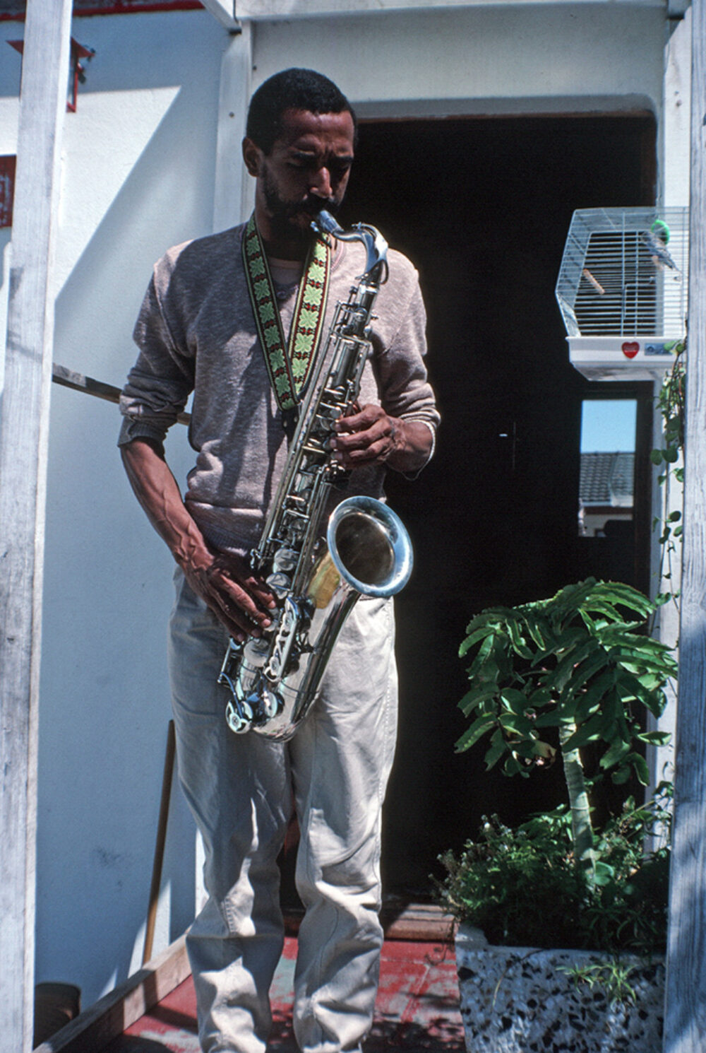 Basil Coetzee, Cape Town (Eyre, 1987)