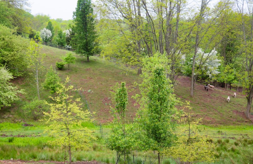 Chartwell Hill, South Windsor, CT.