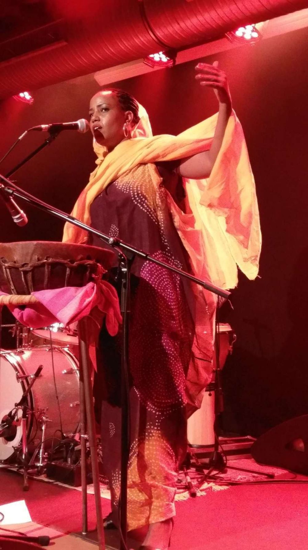 Live in Hamburg. Photo by the author.