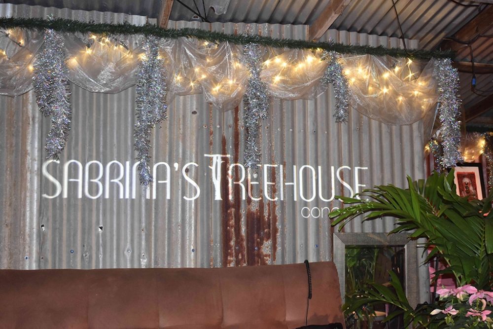 The stage at Sabrina’s Treehouse Concerts, Photo ©David Katz